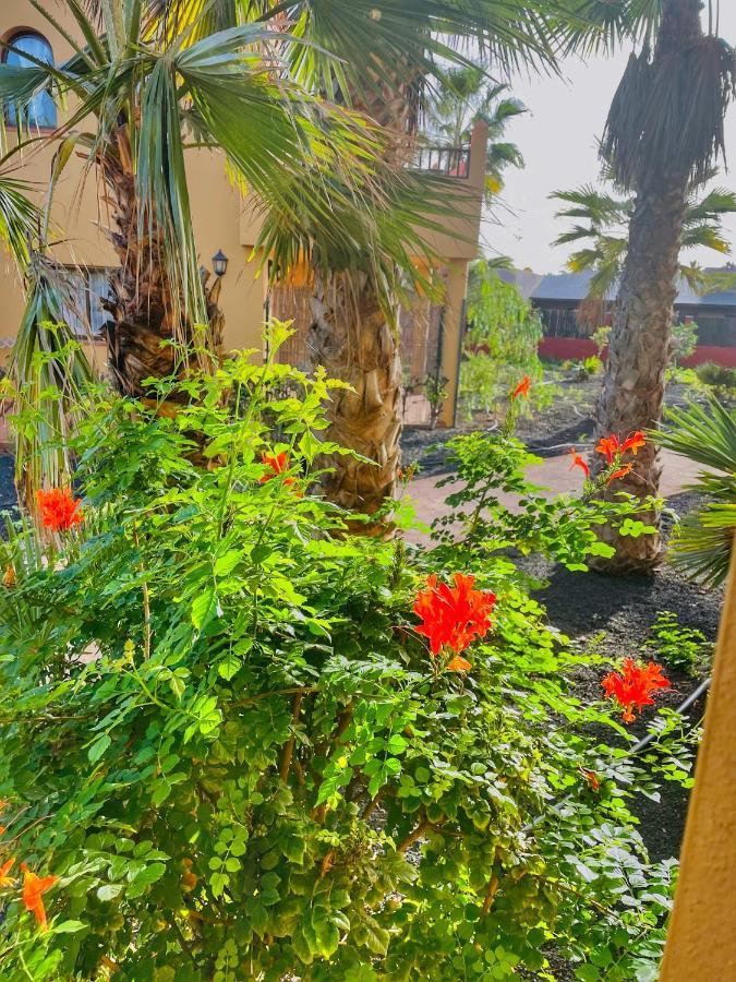 Paradise House Corralejo Zewnętrze zdjęcie