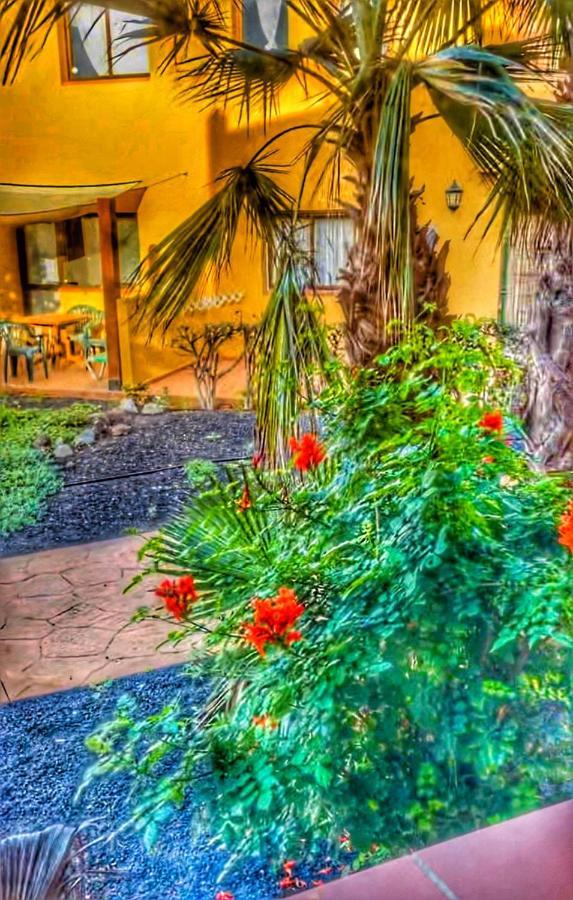 Paradise House Corralejo Zewnętrze zdjęcie